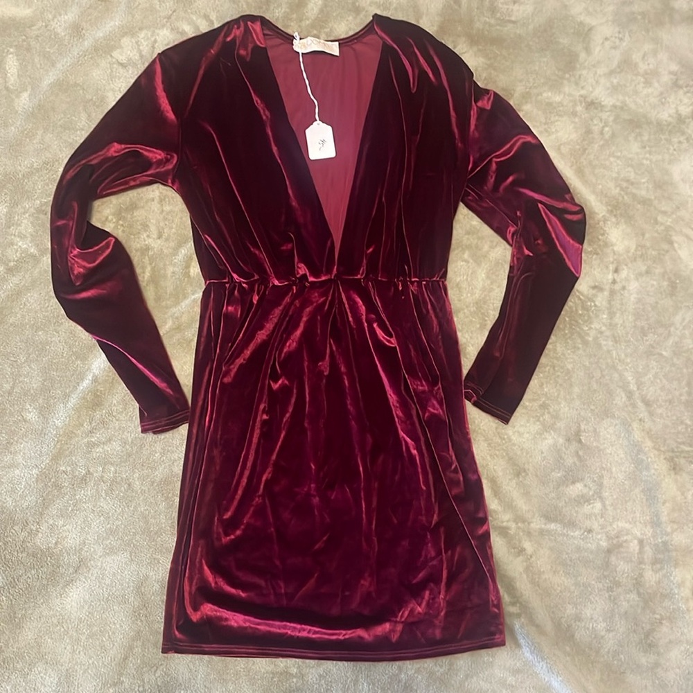 Blooms In The City Ruby Velvet Dress
